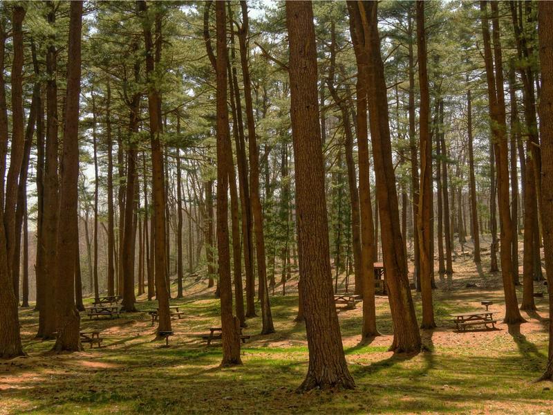 sudoku national contest screenshot 6